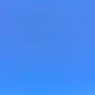 用户个人资料图片